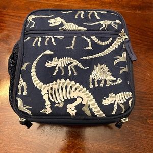 Pottery Barn Kids Dinosaur Glow in the dark lunch box